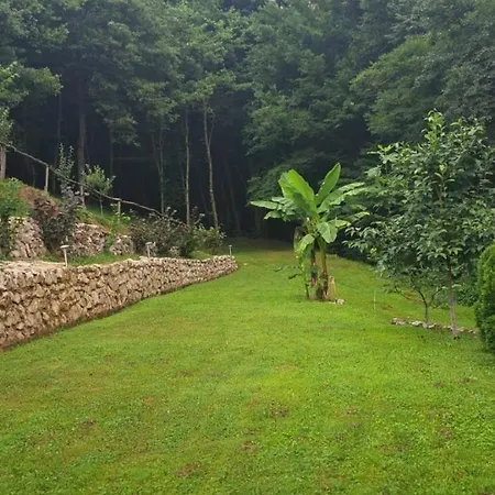 Bosna Apartamento